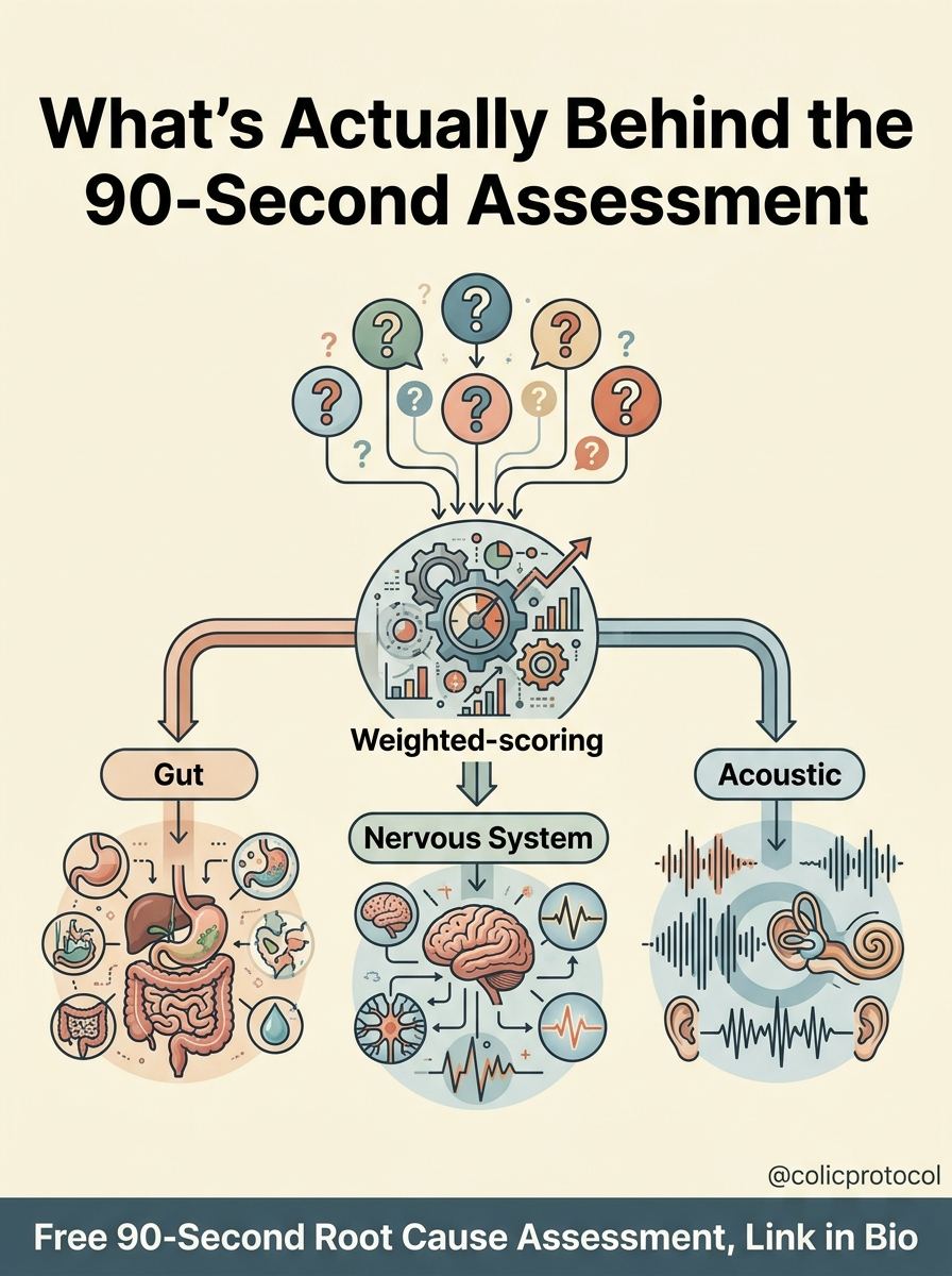 What's behind the 90-second assessment: weighted scoring across gut, nervous system, and acoustic