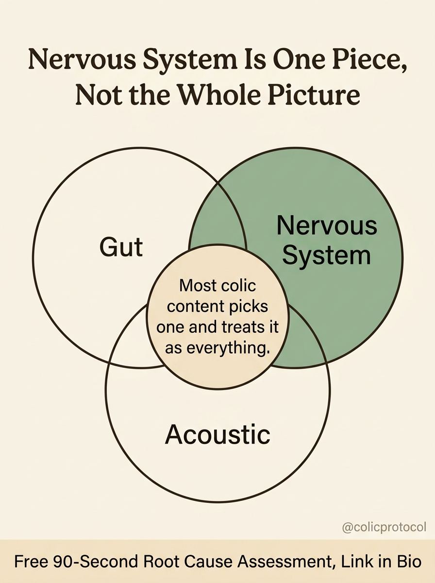 Nervous system dysregulation diagram