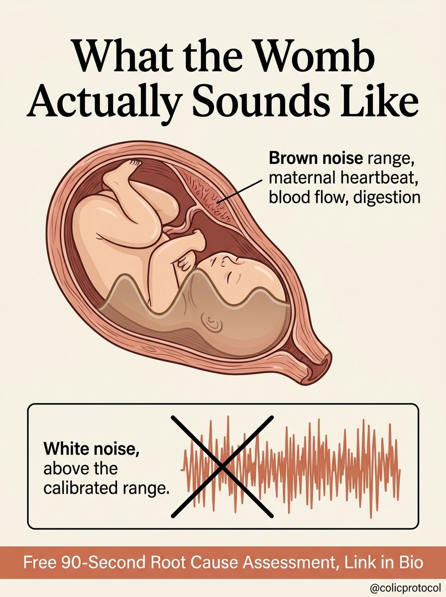 Womb frequency and acoustic environment diagram